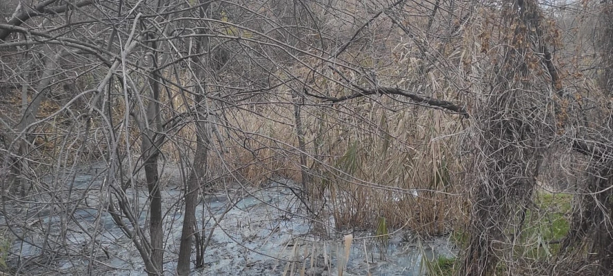 Фото: из публикаций 1rnd