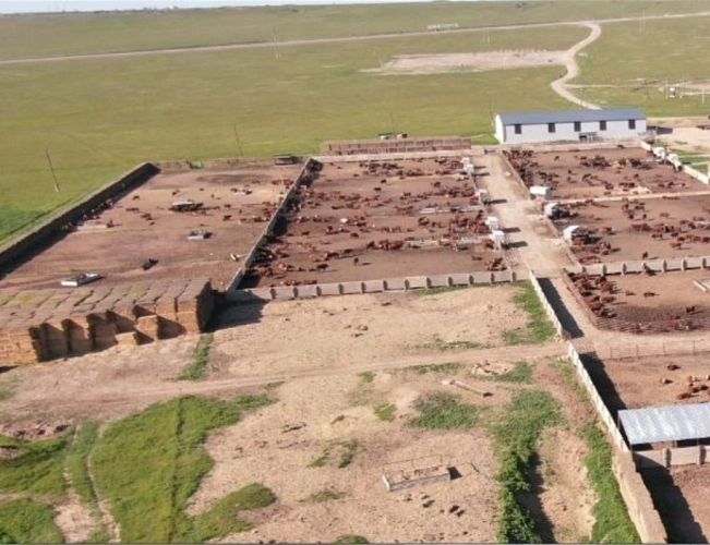 Фото:  Управление Россельхознадзора по РВАОиРК