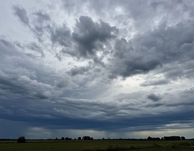 Фото: Изображение сгенерировано нейросетью