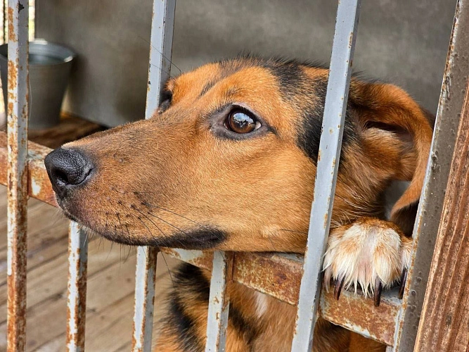 Фото: ТГ канал временно исполняющего обязанности губернатора Ростовской области