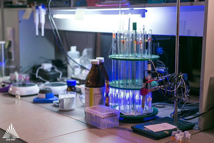 Фото: Проекты ученых получили гранты Фото: ЮФУ