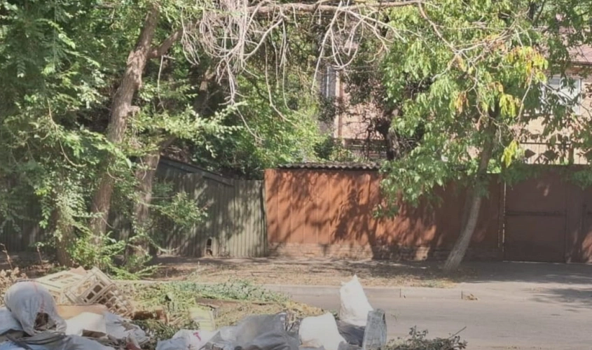 Фото: Минприроды Ростовской области