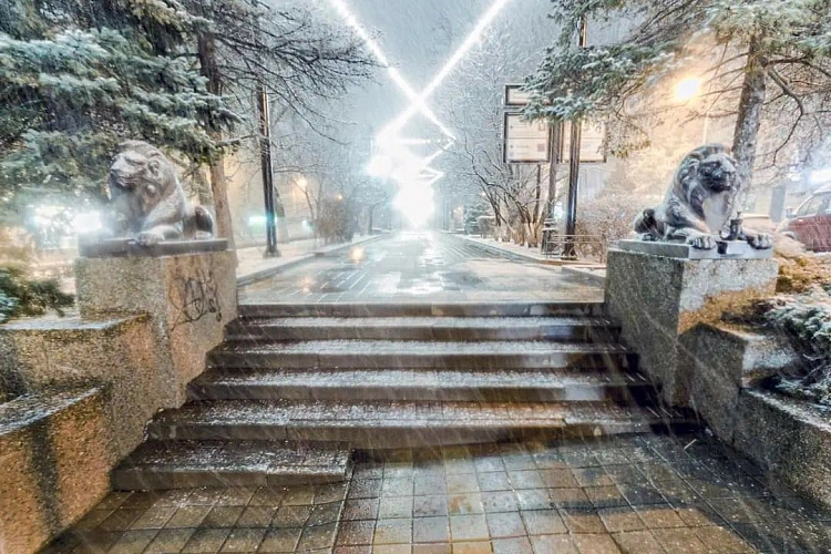 Фото: Роман Неведров 