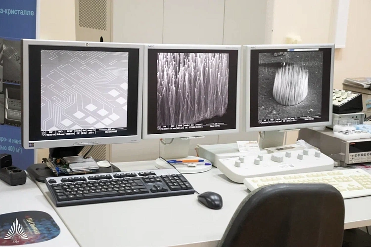 Фото: пресс-центр ЮФУ