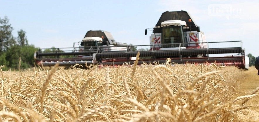 Фото: из публикаций 1rnd.ru