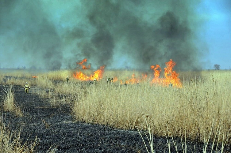Фото: ДПЧС Ростовской области / vk.com
