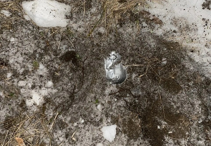 Фото: ГУ МВД России по РО