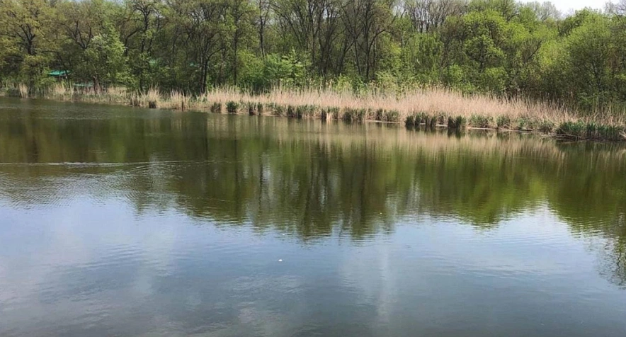 Фото: из архива Минприроды ростовской области