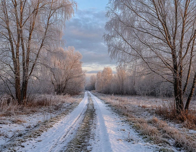 Фото: нейросеть 