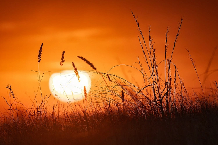Фото: Александр Шрайфель/Правительства Ростовской области