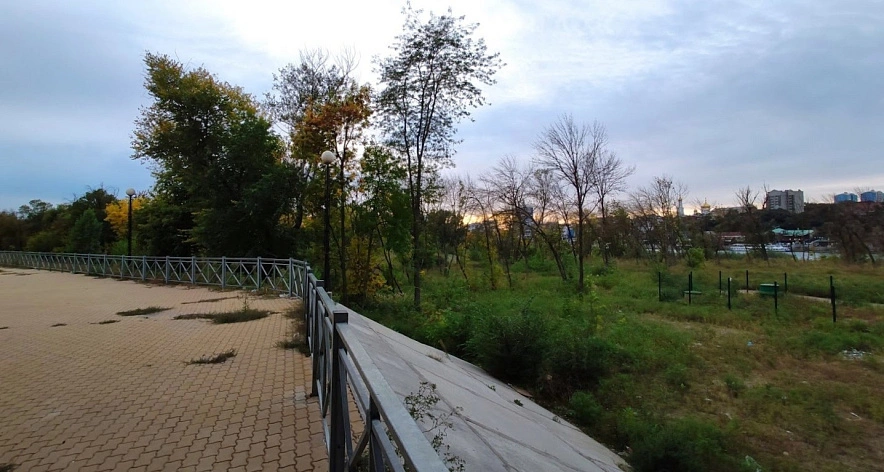 Фото: Роща рядом с Ворошиловским мостом Ростова, кадр 1rnd