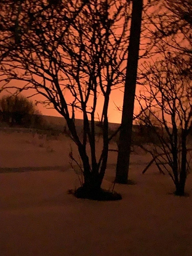 Фото: кадр из соцсетей