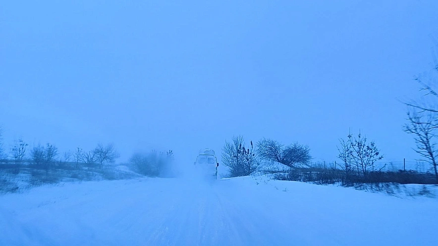 Фото: снегопад в Ростовской области \\ кадр из публикаций 1rnd.ru