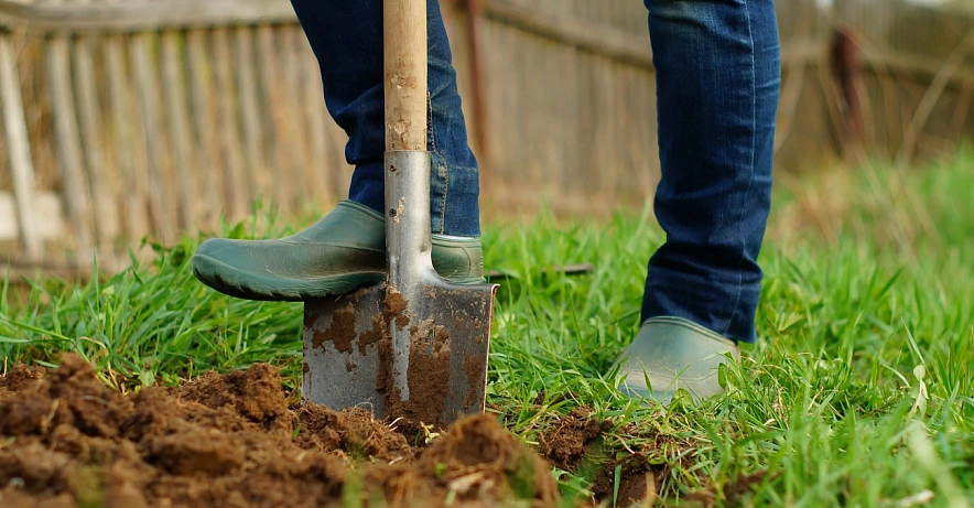 Фото: из публикаций 1rnd.ru