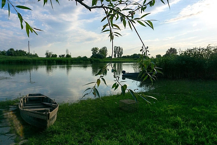 Фото: Марина Соколова/Правительство Ростовской области