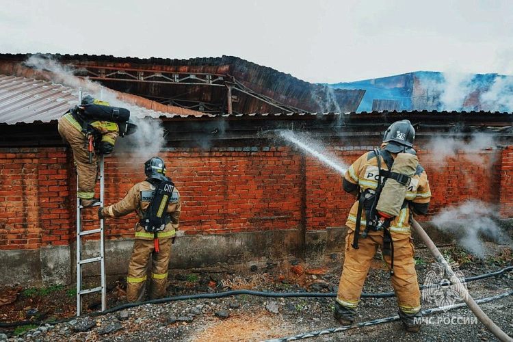 Фото: архив МЧС России 