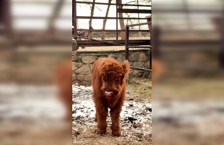 Фото: Парк «Лога»