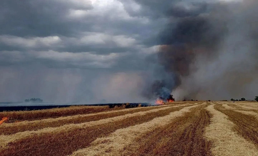 Фото: МЧС по Ростовской области