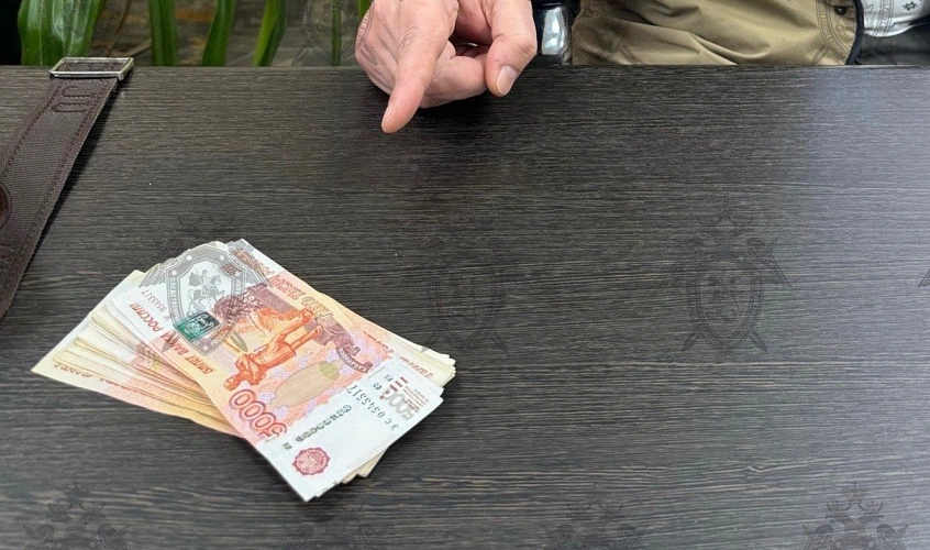 Фото: кадр донского Следкома