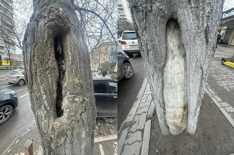 Фото: ТГ канала Бебури Месхи