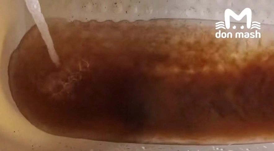 Фото: ТГ канала «Don Mash»