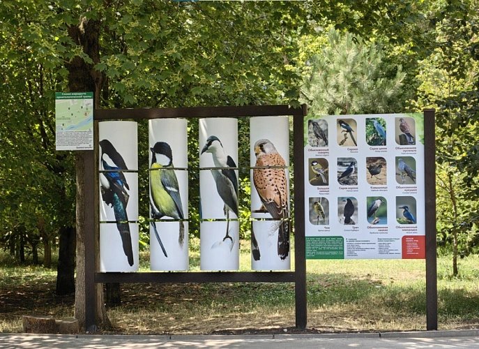 Фото: Администрации города Ростова-на-Дону