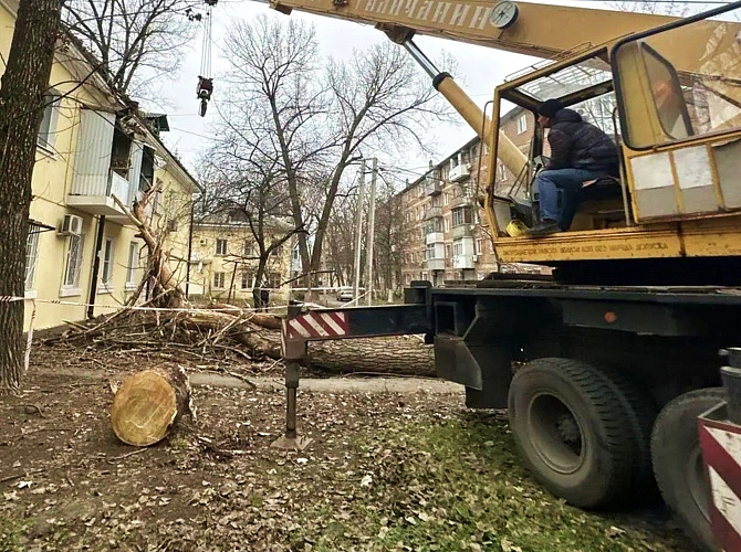 Фото: Администрации города Ростова-на-Дону