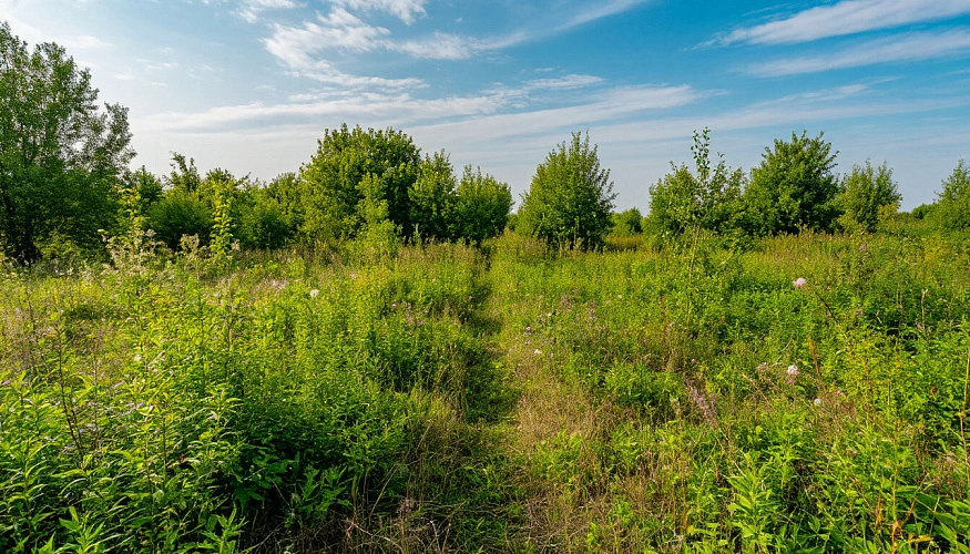 Фото: сгенерировано нейросетью Шедеврум