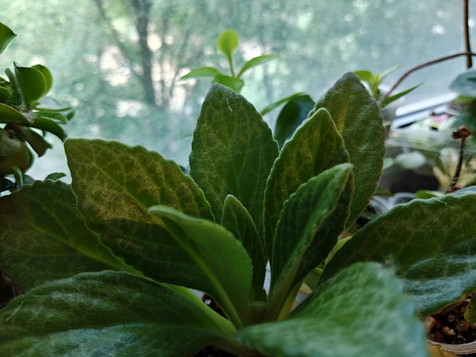 Фото: хирита // фото 1rnd