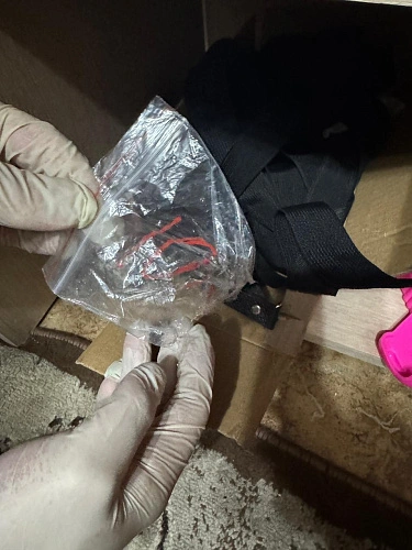 Фото: ГУ МВД России по РО