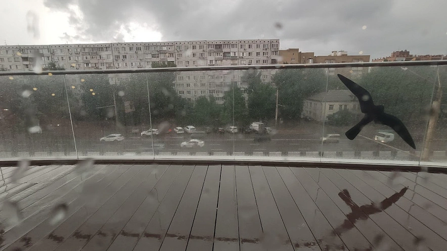 Фото: кадр 1rnd