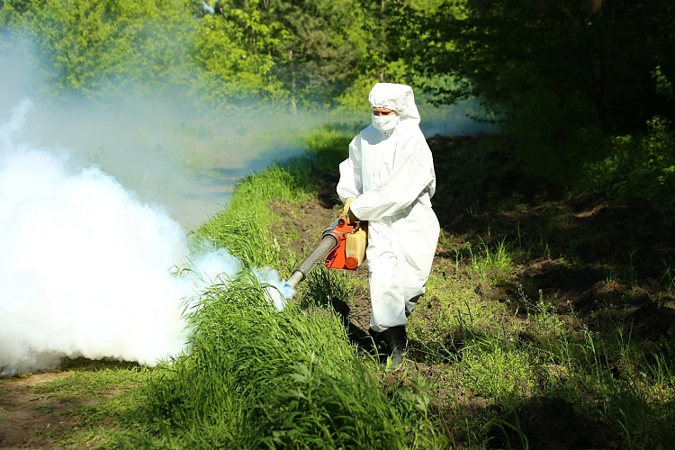 Фото: В Ростове увеличили площадь обработки территорий от клещей в лесах, парках и скверах, фото пресс-службы администрации Ростова