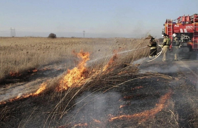 Фото: кадр донского МЧС