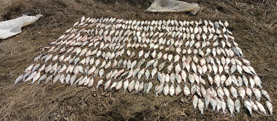 Фото: пресс-служба ПУ ФСБ по РО