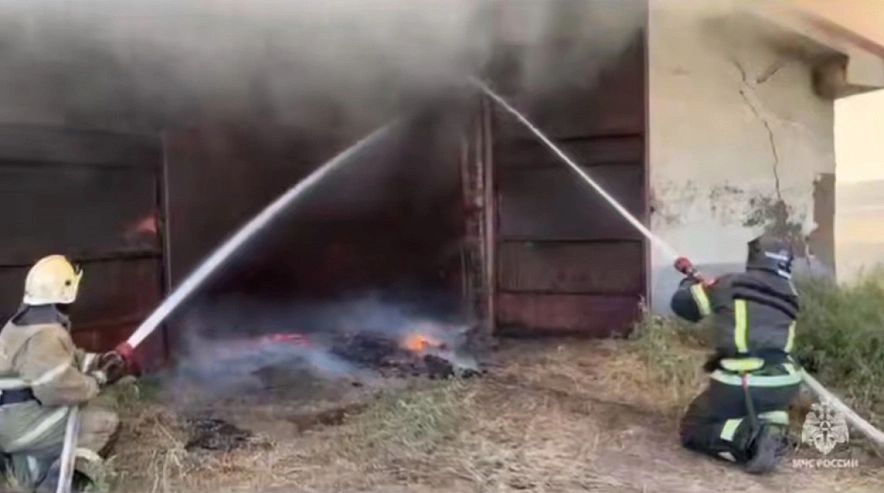 Фото: кадр донского МЧС