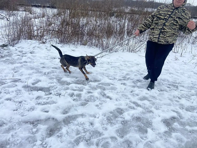 Фото: из архива Департамента ЖКХ и энергетики