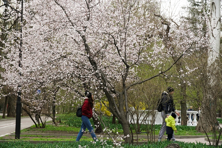 Фото: Тимура Лавронова \\ 1rnd.ru