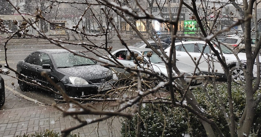 Фото: Мокрый снег в Ростове, кадр из архива 1rnd