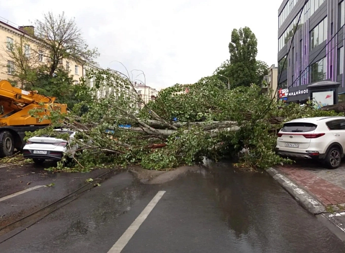 Фото: Александр Скрябин / max.ru