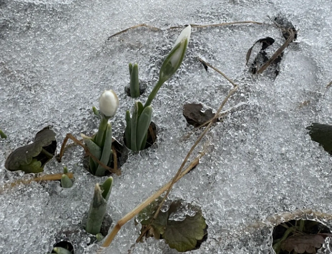 Фото: кадр 1Rnd