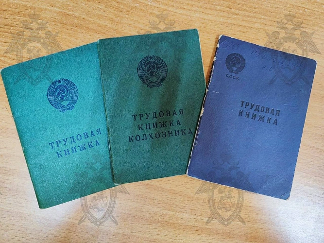 Фото: СУ СК по Ростовской области 