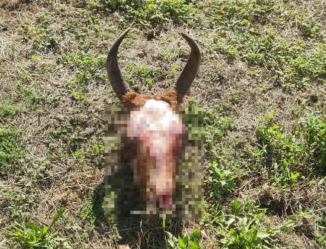 Фото: «Департамент строительства и городского хозяйства» Волгодонска