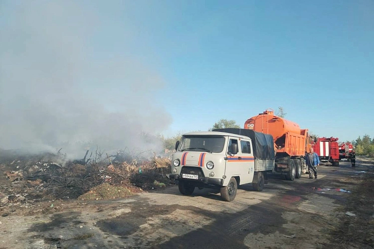 Фото: Антонина Пшеничная