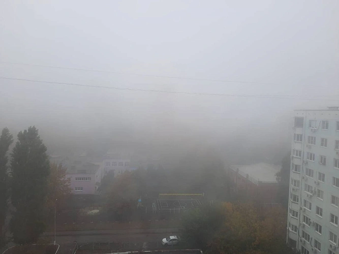 Фото: кадр 1Rnd