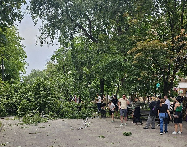 Фото:  Фото: ТГ-канал "Тютина"