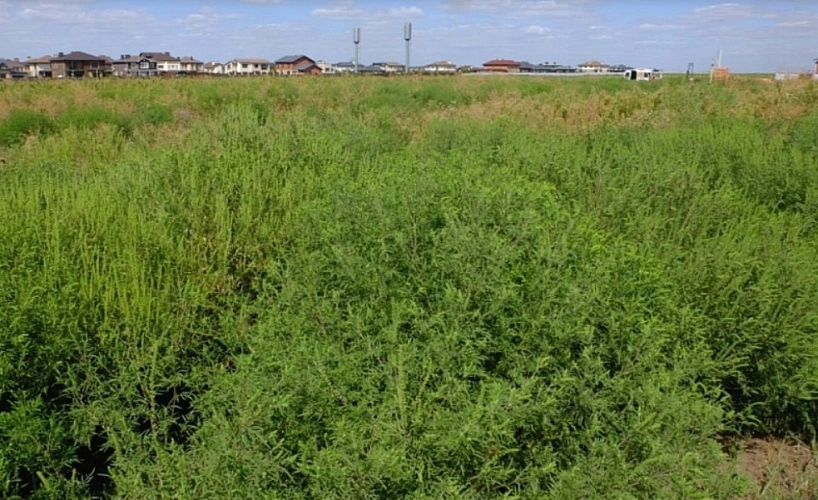 Фото: Управление Россельхознадзора по РВАОиРК