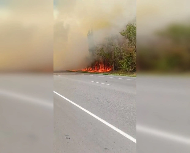 Фото: ТГ канала Новости Ростова-на-Дону