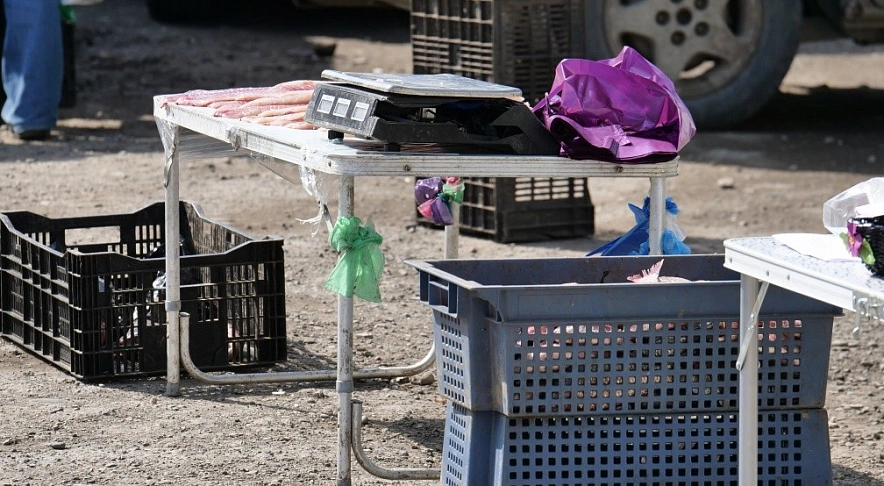 Фото: из публикаций 1rnd.ru