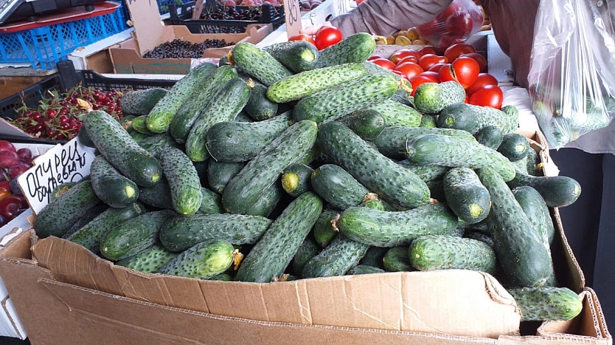 Фото: Огурцы на Северном рынке // фото: 1rnd.ru