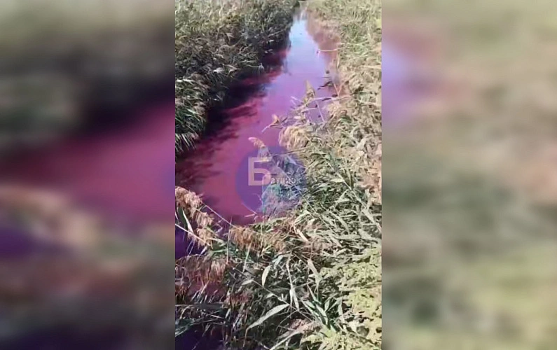 Фото: ТГ канала "БАТАЙСК ГОРОД"